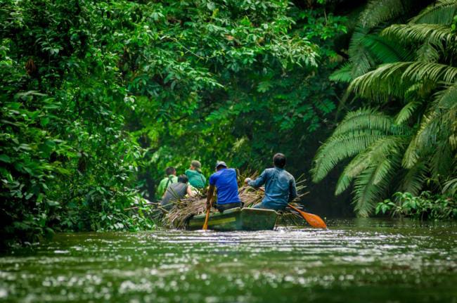 Canoe with passengers gliding along Añangu Creek between dense rainforest and palm fronds