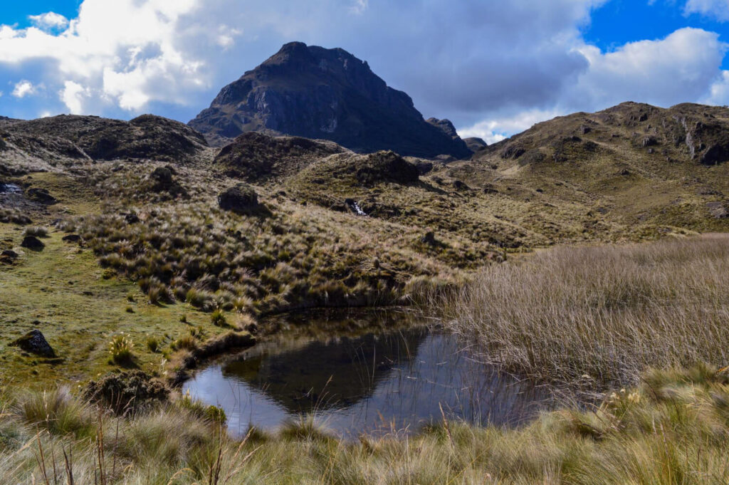 Páramo landscape with a small lagoon in Cajas National Park, Ecuador