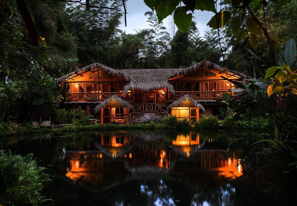 Wooden lodge with thatched roofs lit at dusk and reflected in a pond surrounded by cloud forest