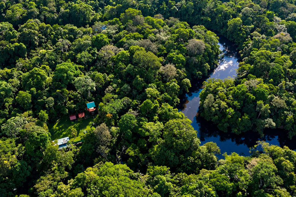 Aerial view of a river winding through dense Amazon rainforest with a small lodge in a clearing